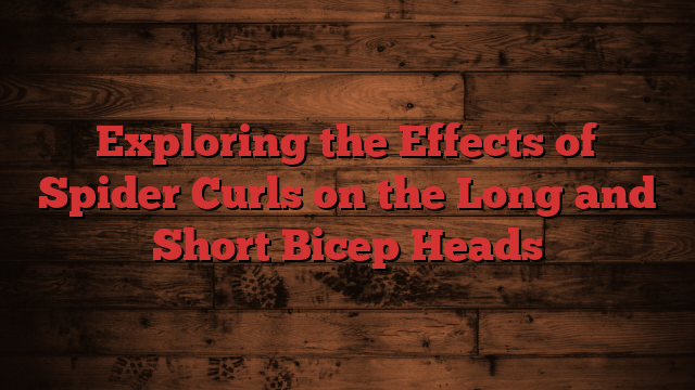Exploring the Effects of Spider Curls on the Long and Short Bicep Heads