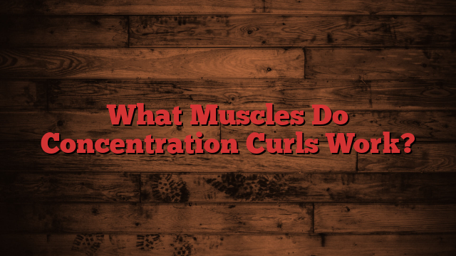 What Muscles Do Concentration Curls Work?